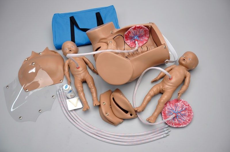 Outils pédagogiques, simulateur de modèle d'accouchement, Bassin d